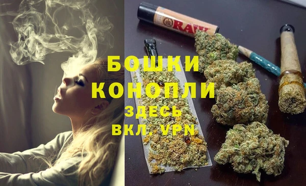 MESCALINE Аркадак