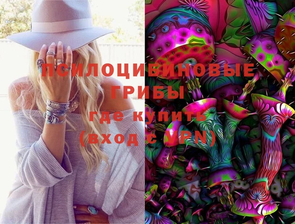 кокс Арсеньев
