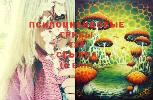 MDMA Premium VHQ Армянск