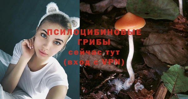 кокс Арсеньев
