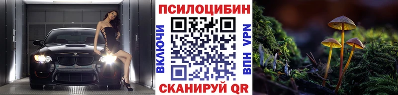 купить наркотики цена  Салехард  Галлюциногенные грибы прущие грибы 