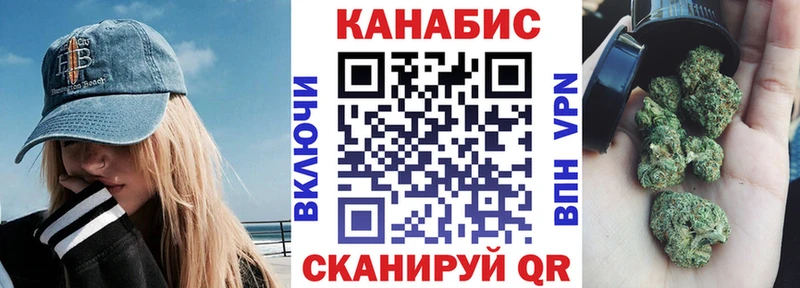Конопля сатива  где можно купить   KRAKEN зеркало  Салехард 